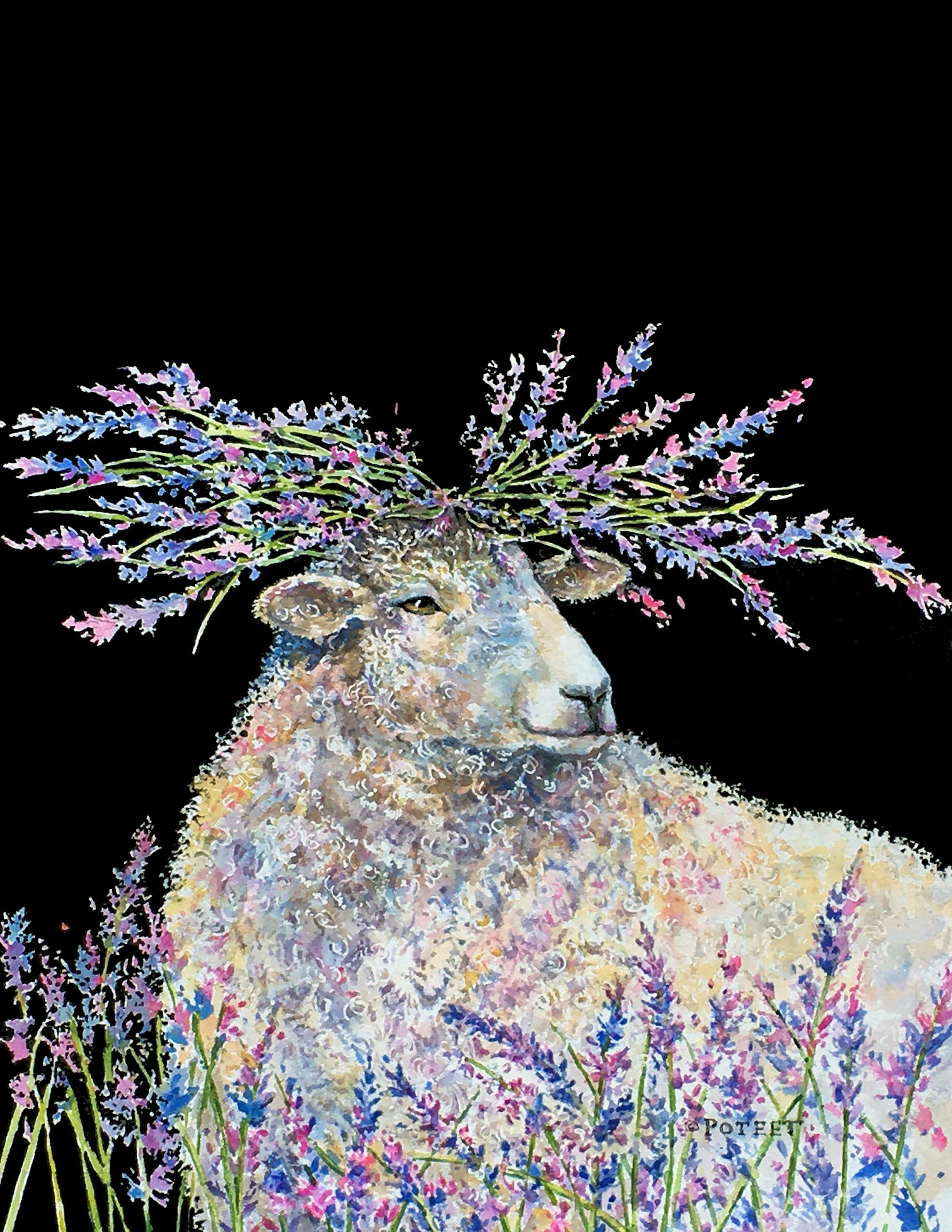 Get Creative With Animals with Robin Poteet